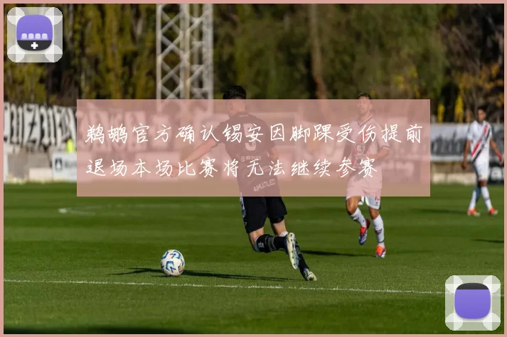 鹈鹕官方确认锡安因脚踝受伤提前退场本场比赛将无法继续参赛