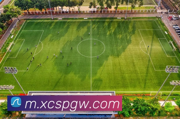 杏彩体育官网APP 体育赛事宣传图